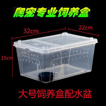 Turtle tank Transparent plastic mantis live snail horned frog Spider mantis silkworm reptile feeding box