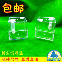 Feeding box High transparent acrylic jumping spider Song insect Insect Mantis beetle Pet spider Large medium small size