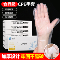 CPE thickness and wear resistant disposable gloves Food grade special thickness film and surface baking gloves for commercial use