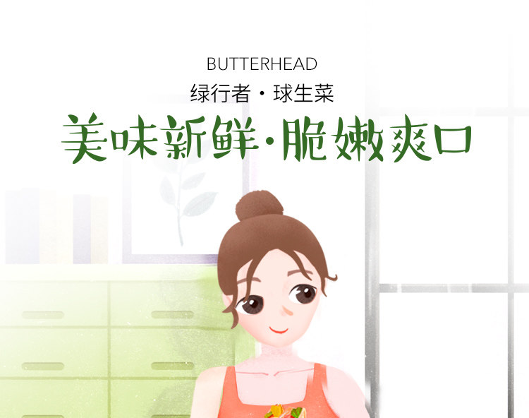 绿行者 球生菜 西生菜 5斤 生食清甜脆嫩 图1