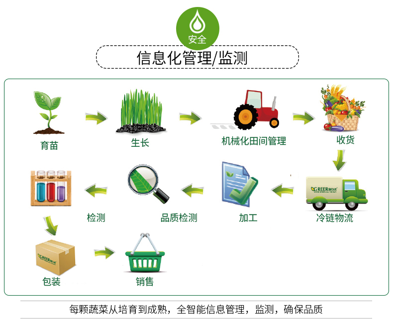 【绿行者】五斤新鲜水果萝卜