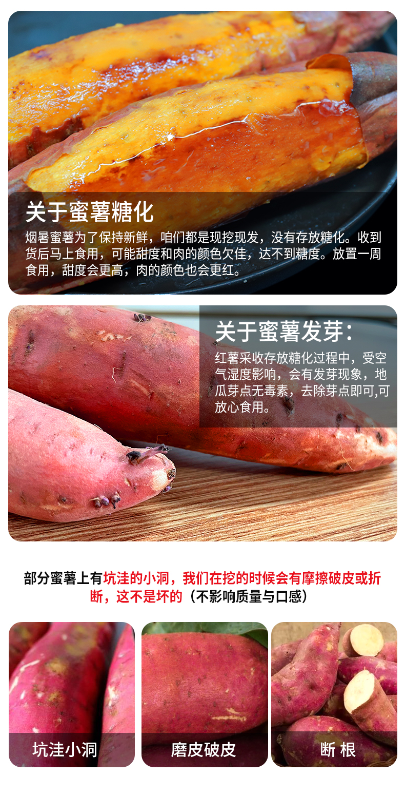 奥运会供应商 绿行者 烟薯25号 红心蜜薯 5斤 图11