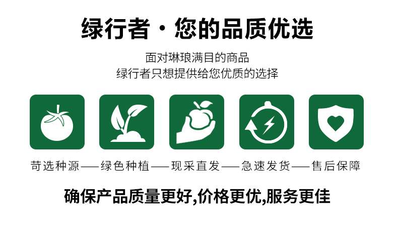 【凑单价19.8，5斤】绿行者新鲜红番茄