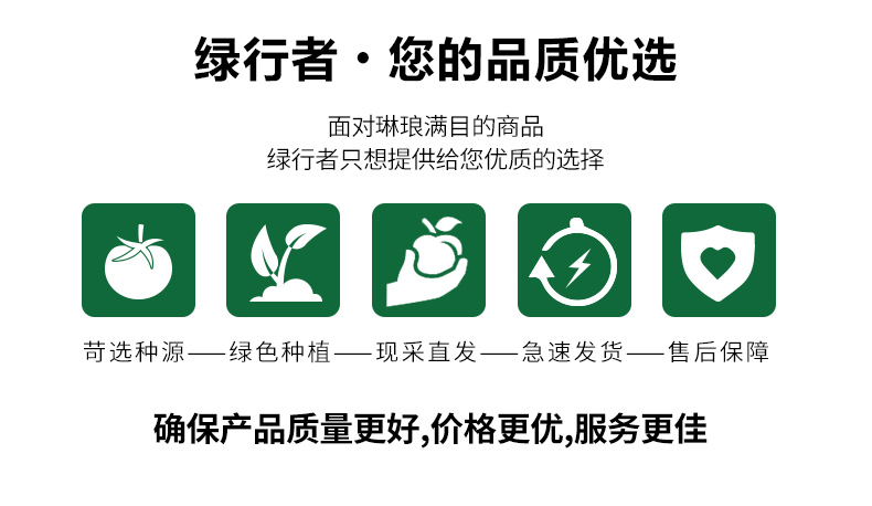 绿行者 桃太郎大粉番茄 4斤12枚 礼品级 图12