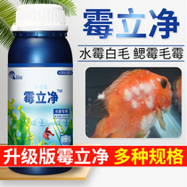 Water mildew treatment of fish and turtle medicine rotten body bleeding Aquarium rotten gill mold Lijing medicine Turtle potion mildew white hair disease