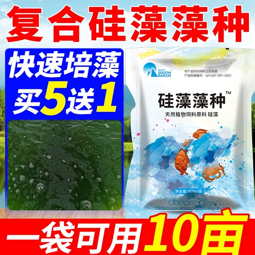 Диатомовые водоросли виды мелких шариковых водорослей Зеленые водоросли рыбные креветки и крабовые пруды с аквакультурой ранней весенней удобрения, гиполиные виды соединений водорослей водорослей