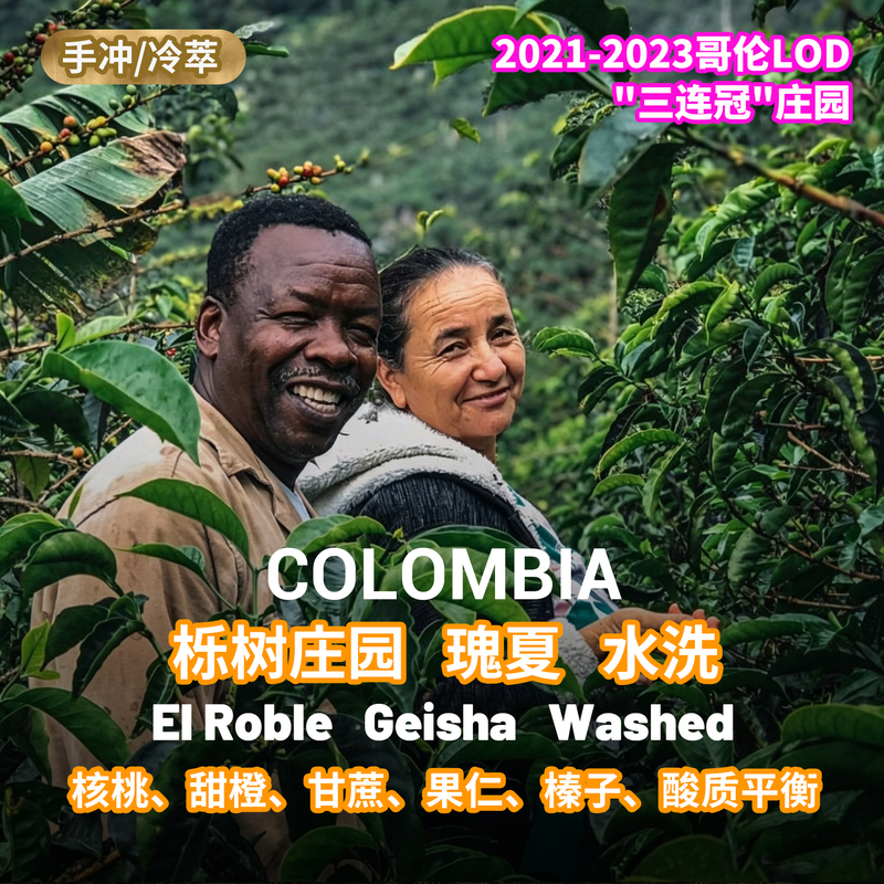 【Walnut·Sweet Orange】Lafika Specialty Coffee Raw Beans Gesha Washed Lishu Manor