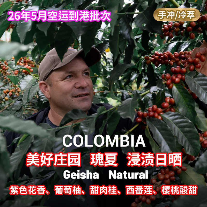 [Purple Floral Fragrance·Sweet Cinnamon] Lafika Coffee, Colombian Specialty Green Beans, Gesha, Sun-Dried, Beautiful Estate