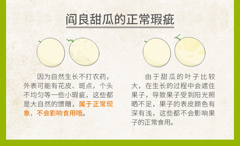 地理标志产品 陕西阎良甜瓜 5斤 约4-6个 一箱一码可追溯 图12