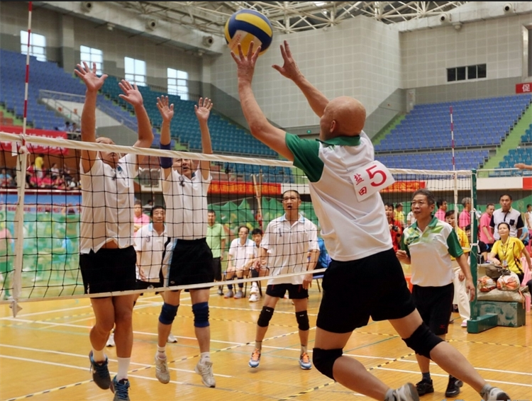 Ballon de volley - Ref 2016344 Image 10