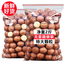  Original cream flavor Extra large particles Macadamia nuts in bulk weighing kg Bag Net weight 500g 1 kg FCL 5 kg