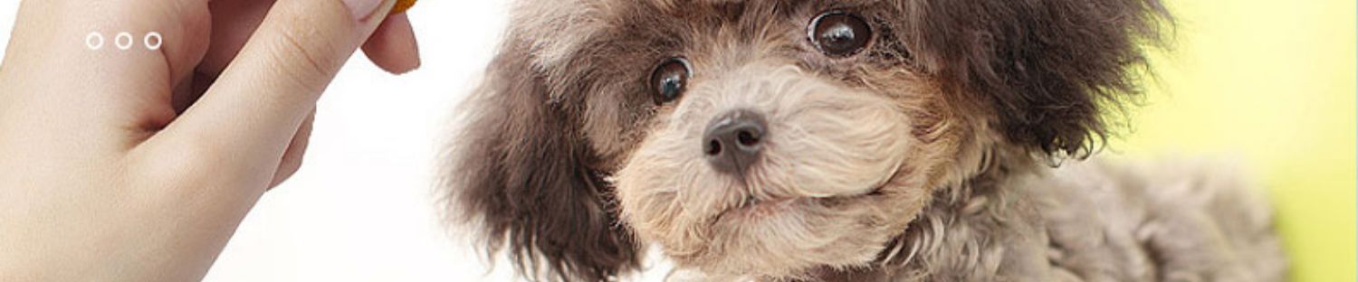 Thức ăn cho chó sói sói 15kg chó vừa và lớn Labrador vàng viền cỏ nấm bò bò loại chung thức ăn cho chó trưởng thành 30 kg - Chó Staples thức ăn của chó