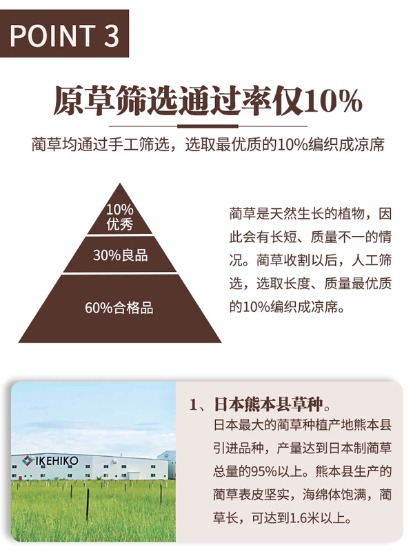 IKEHIKO / Chihiko Nhật Bản 蔺 dệt sàn phòng khách thảm trải sàn bàn cà phê chăn nghiên cứu thảm trải chiếu mat - Thảm