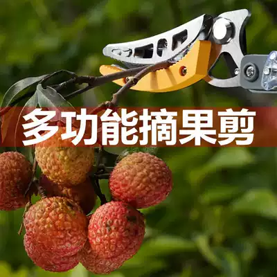 Fruit picker Persimmon Longan fruit branch scissors high-altitude scissors extended telescopic picking artifact High-branch scissors Fruit picker