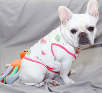 Fruit bear method fight fight spring and summer breathable cute small vest breathable hollow fresh dog vest