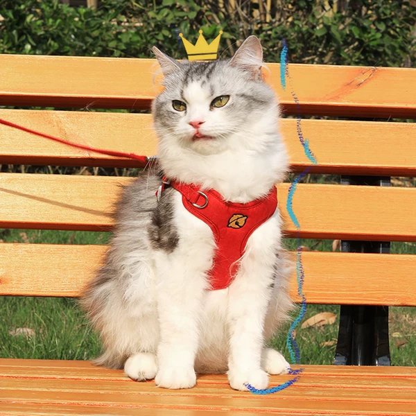 Товары от 狗泽猫