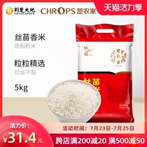 Chu farm silk miao fragrant rice 5kg new rice Southern long grain rice farm rice indica rice 10 kg clay pot rice special rice