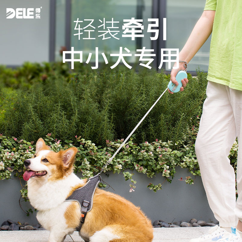 Dele retractable dog leash small dog Teddy Koji puppy cat dog rope chain collar walking dog practice