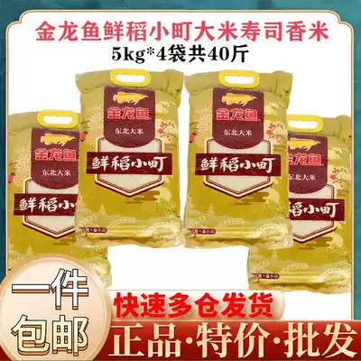 (40 Jin) Golden Dragon Fish Fresh Rice Small Town 5kg10 Jin * 4 bags of sushi rice