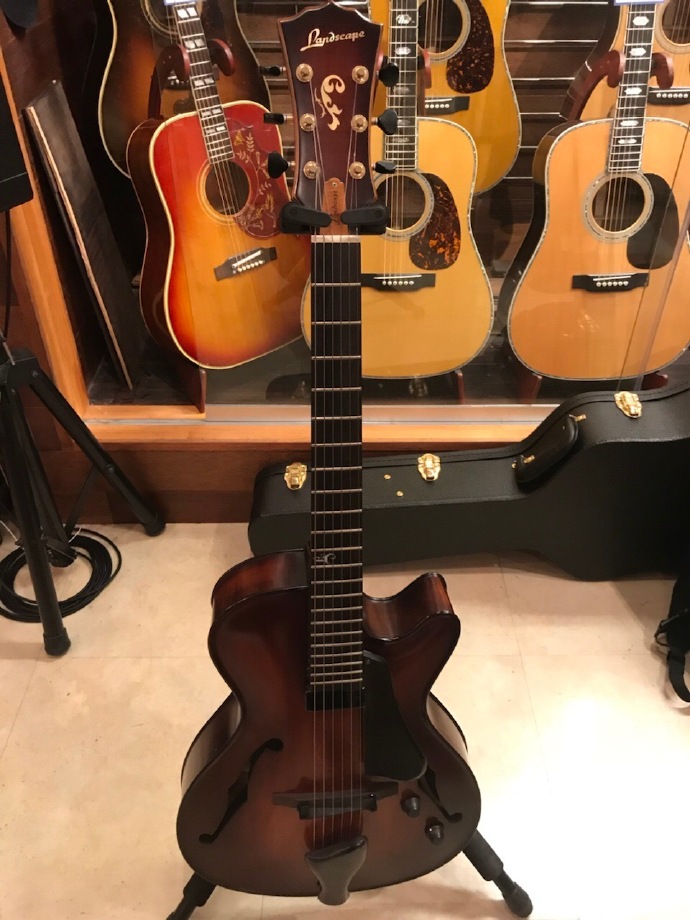 LANDSCAPE Jazz Guitar Well Grass Saint II with the same style AR-201 204 FL