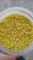 Sichuan rapeseed bee pollen contains fruit tree and bean pollen more than five kilograms
