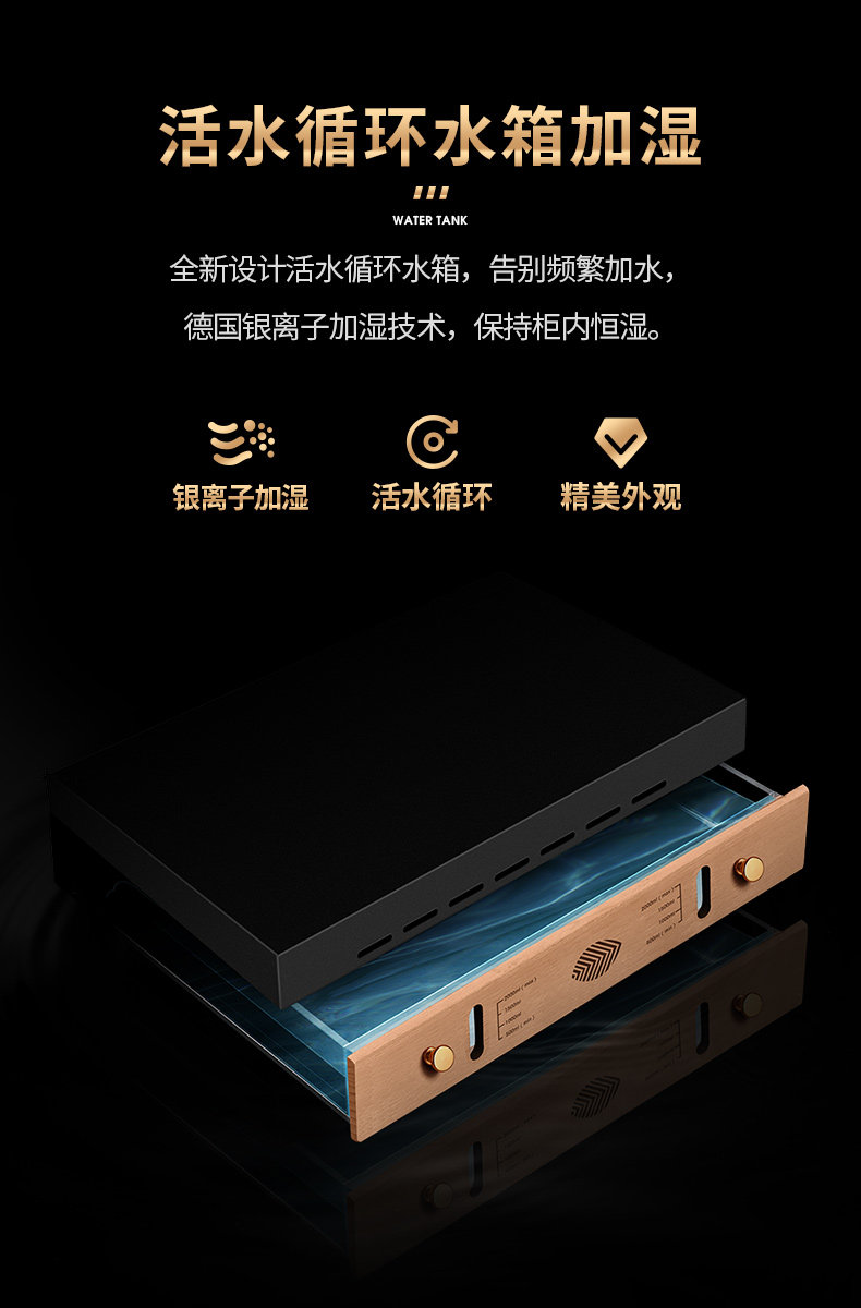 168 Double Pin Egg Dragon_19.jpg