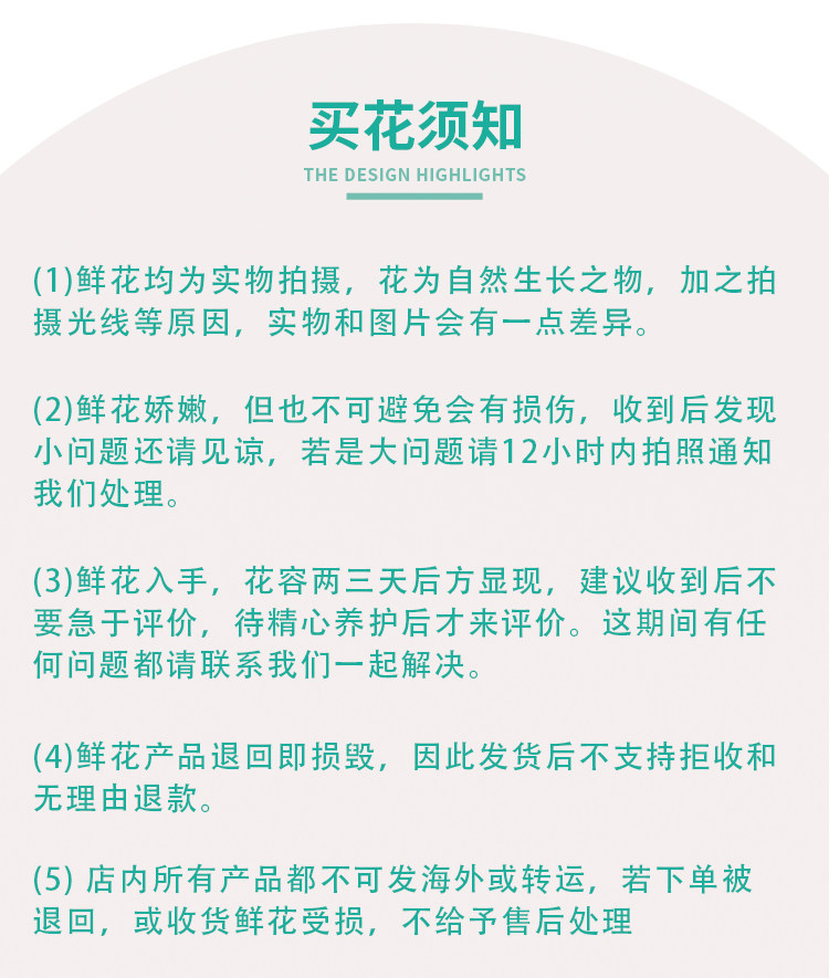 Цветы 梦金鹏幻紫玫瑰鲜花小粉兔肯辛顿公园单头鲜切花室内水养新鲜插花