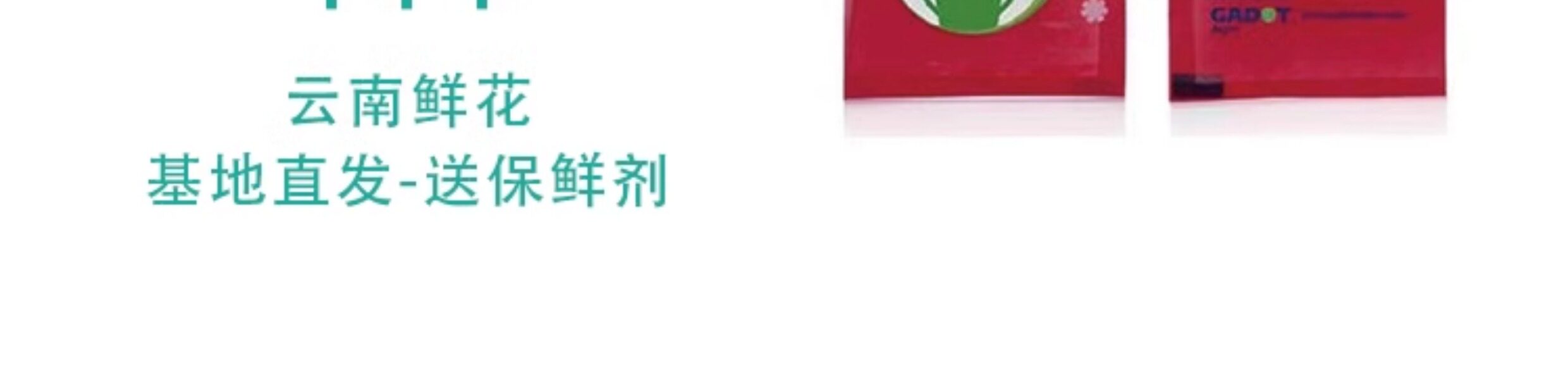 Цветы 梦金鹏幻紫玫瑰鲜花小粉兔肯辛顿公园单头鲜切花室内水养新鲜插花