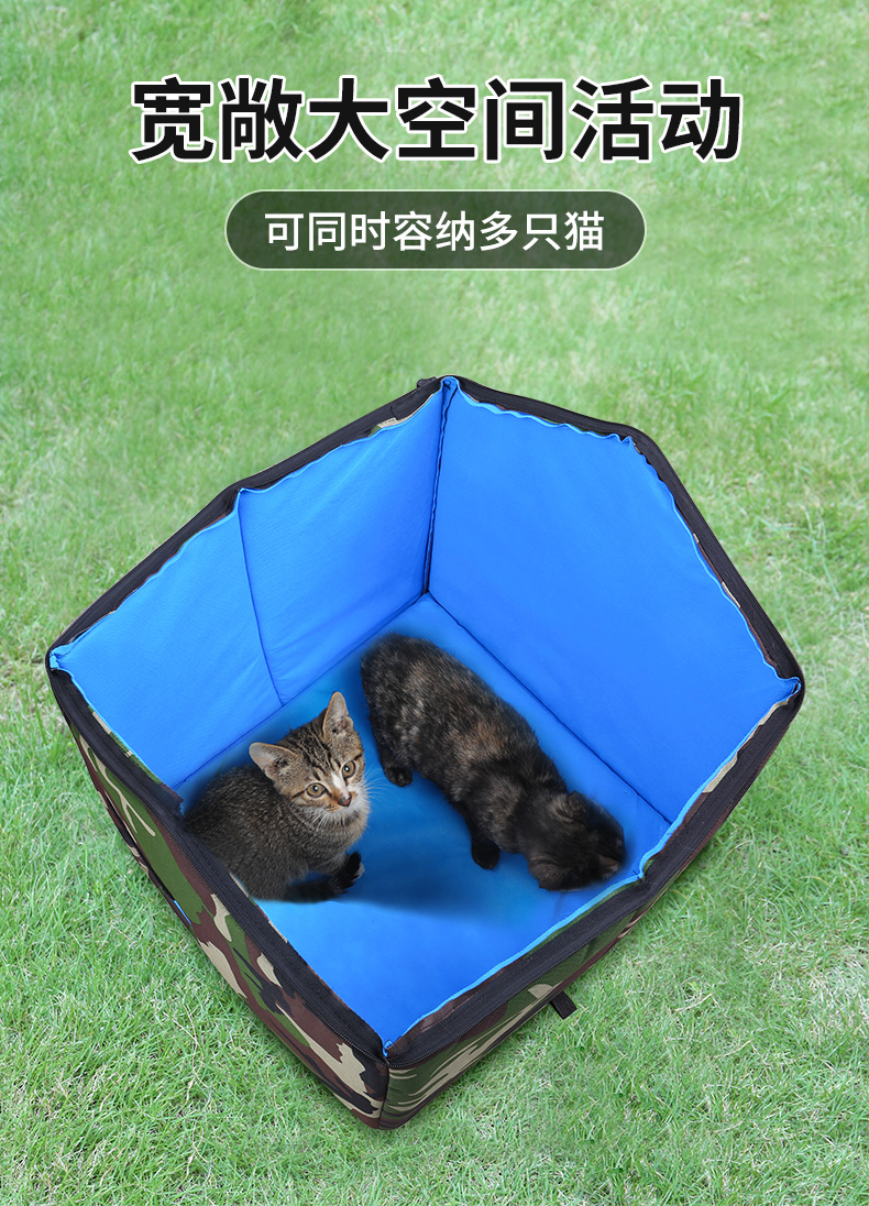 O1CN01SfpxbJ2F5HDUEULyd_!!4235178828.jpg