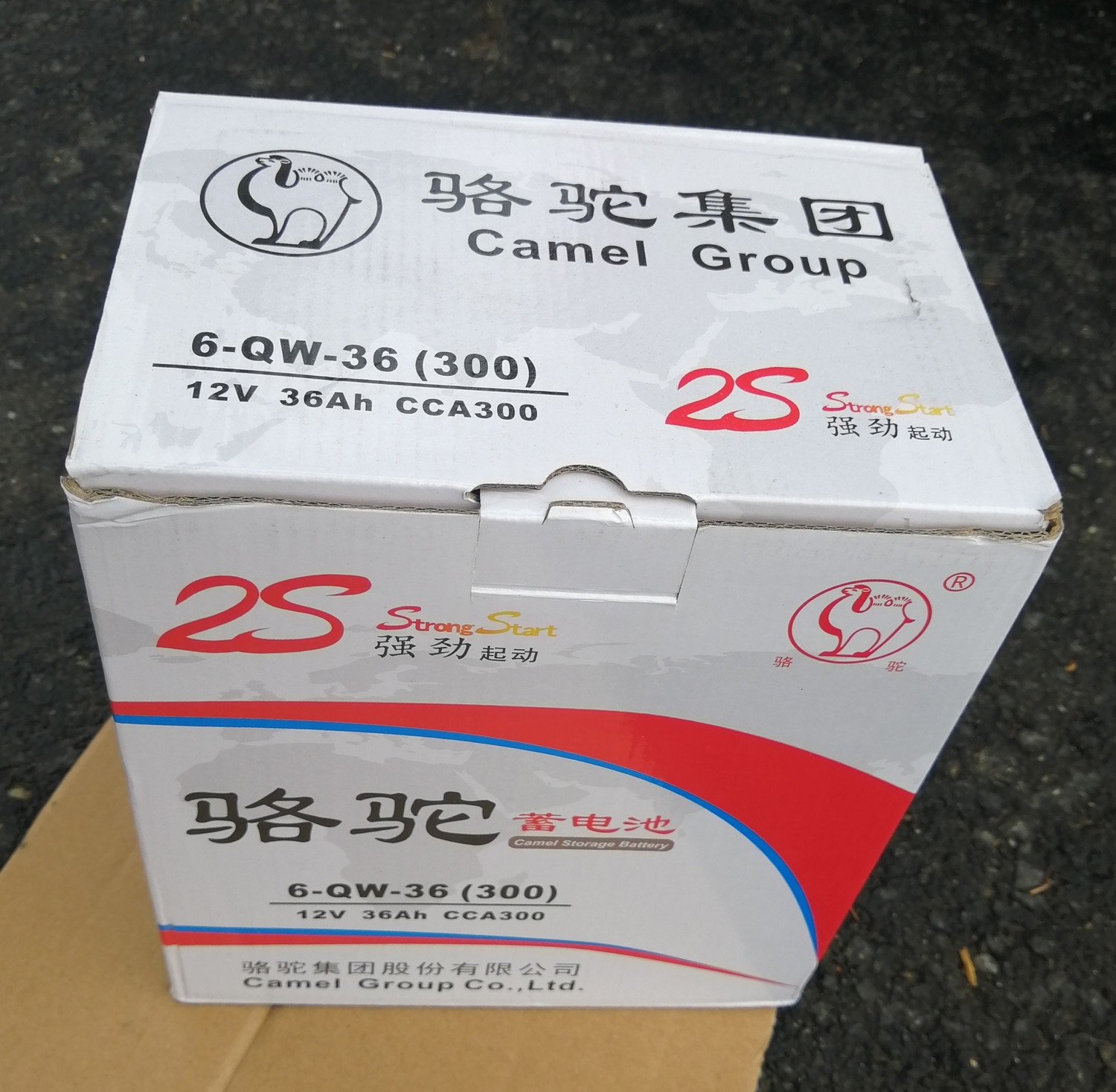 Camel 6-QWLZ-36 compartment car battery 12V36AH battery camel free of maintenance storage battery 36ah