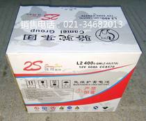 CAMEL L2400 12V60AH maintenance-free battery CAMEL Battery