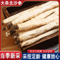 North Sand Ginseng dry Goods Chinese Herbal Medicine Официальный флагманский магазин Свежий песок 3-500g можно сопоставлять с jade bamboo da lilyturf Non