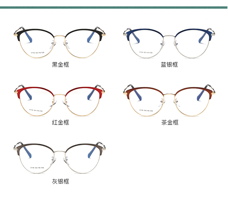 Montures de lunettes en Alliage cuivre-nickel - Ref 3139838 Image 8