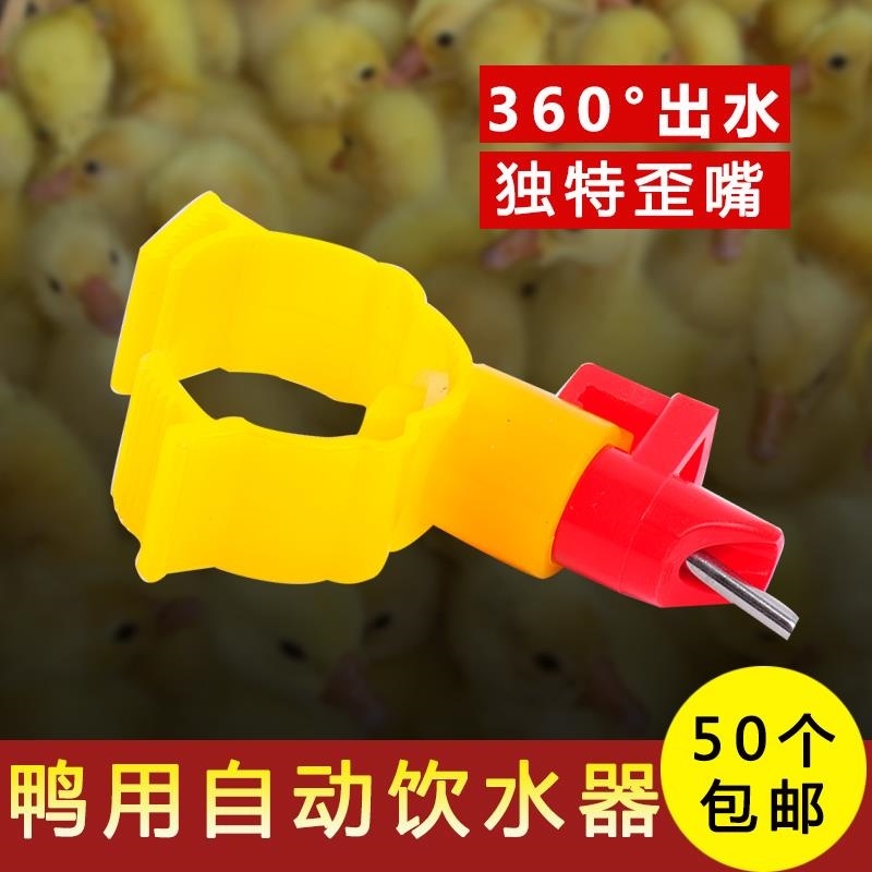 Nipple-type drinker instrument steel ball 6 divided chicken with hanging cup accessory water pipe chicken cage stainless steel water nozzle waterline