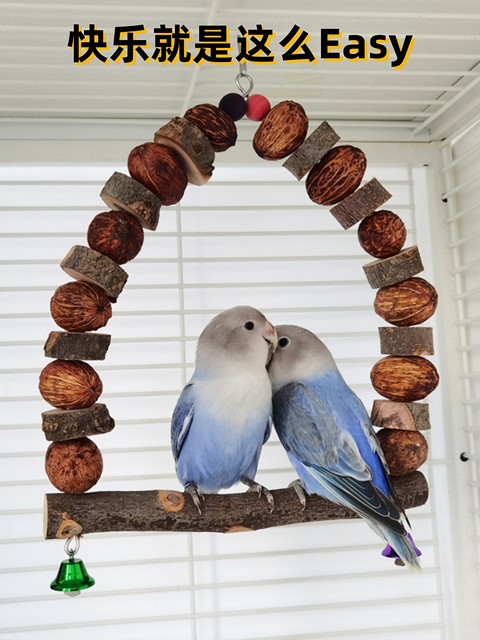 Parrot Swing Toy with Cuttlefish Bone for Chewing, Suitable for Cockatiels, Budgerigars, Lovebirds, and Parrots; Teeth Grinding and Calcium Supplementing Toy; Bird Cage Rattan Ball Made of Apple Wood