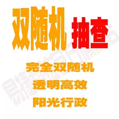 Double random spot check system software customization development