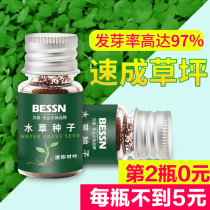 Water plant species relict fish tank landscaping package Live lazy water plant plant seeds Mini cow hair fish tank water plant seeds