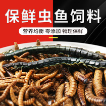 Fresh-keeping insect dragon fish feed silver dragon fish special barley insect bread worm yellow mealworm centipede parrot fish feed fish food