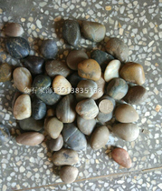 First-level shallow rain flower stone pebbles colorful stones (mixed color) sold by Jin