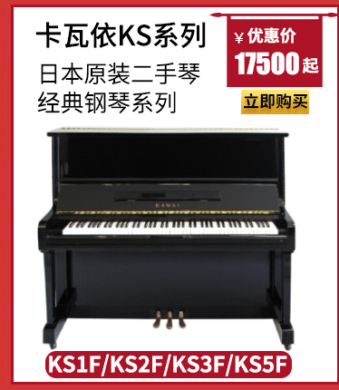 Giải phóng mặt bằng đặc biệt trong nước Shizheng Hoàng đế đàn piano đứng thẳng người lớn mới bắt đầu kiểm tra chuyên nghiệp chơi piano - dương cầm giá 1 cây đàn piano	