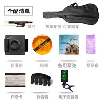 Upgraded level of music performance beginner level violin level hand exam masters degree childrens instrument level