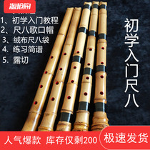 Style quotidien 5 trous de la règle 8 début instrumental shakuhachi souverain Sept trous Huit Guizhu Inposées Tutoriel