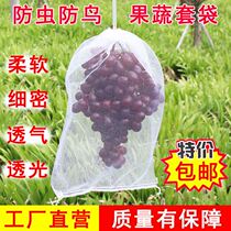 Grape Bagging Fruit Anti-Insect Bird Mesh Bag Fire Dragon Fruit Loquat Fruit Tree Nylon Mesh Bag Steeply-Breathable Euphotic Bag