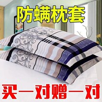 Thickened pure cotton pillowcase pair of clothes 48cm74 All cotton pillowcase big number Home Summer pillows Children
