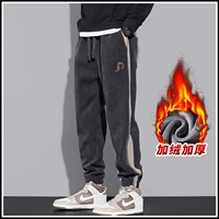 8895 Deep Grey Plus Velvet