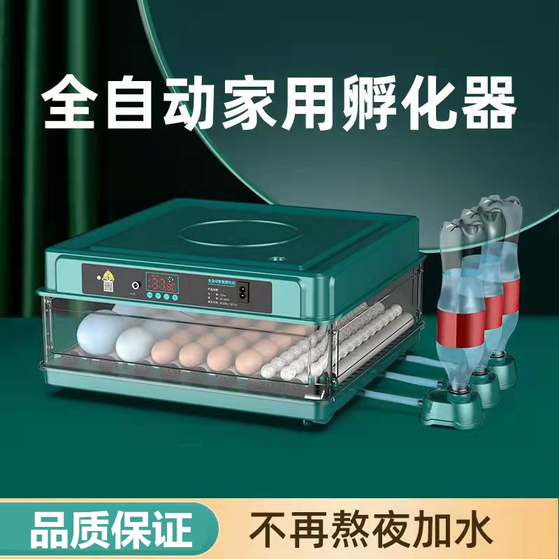 Parrot egg incubators small fully automatic hatching home intelligent hatchery Luding Chicken Quail Duck Goose Hatching Box