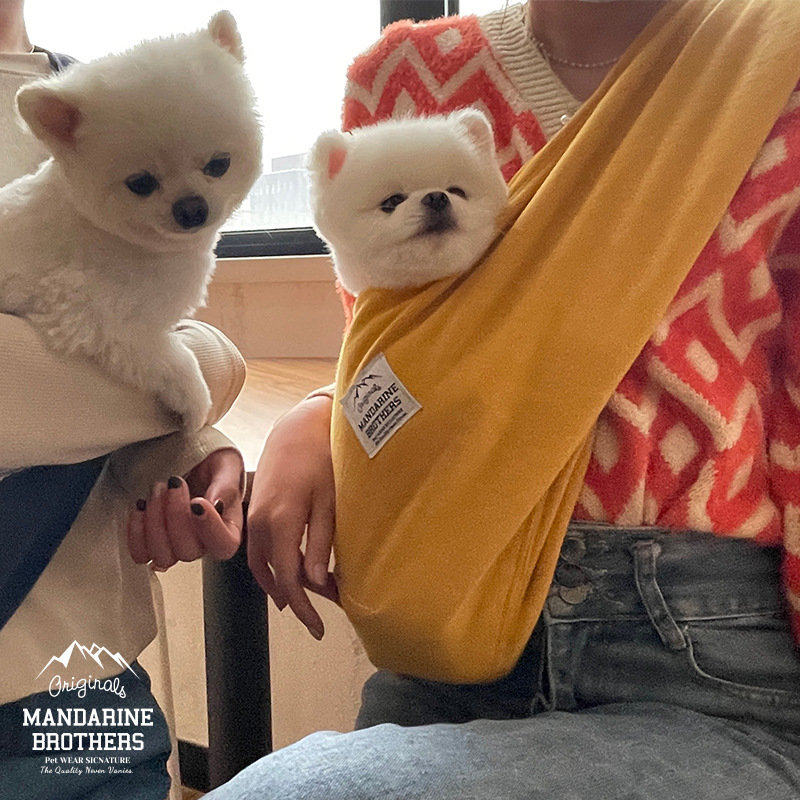 Mandarine Brothers dog and cat pampered with pet single shoulder-strapped across pack cat pack and pack