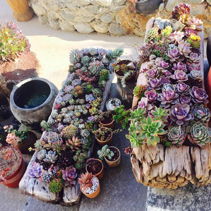 Old Wood Multi-Meat Wood Trough Flowerpots Balcony Rectangular Outdoor Creative Retro Flower Trough Garden Courtyard Large Deco Wood-Taobao