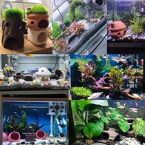 Avoid the cave house hole breeding fish shrimp nest bream tank landscape spawning shrimp avoid house shrimp tank fish tank ornaments submerged creative