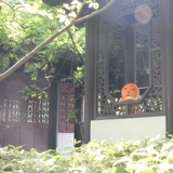 Bibig's Brocery Pave The Straight Tentacle Tension Tension Package Смешная подушка и другие подарки на день рождения куклы.